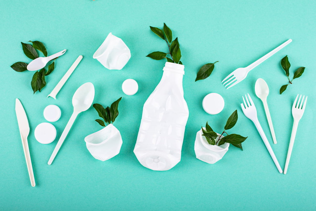 6 Everyday Products Being Reinvented with Sustainable Plastics