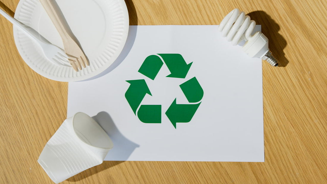 Bioplastics vs Traditional Plastics: What Product Designers Need to Know